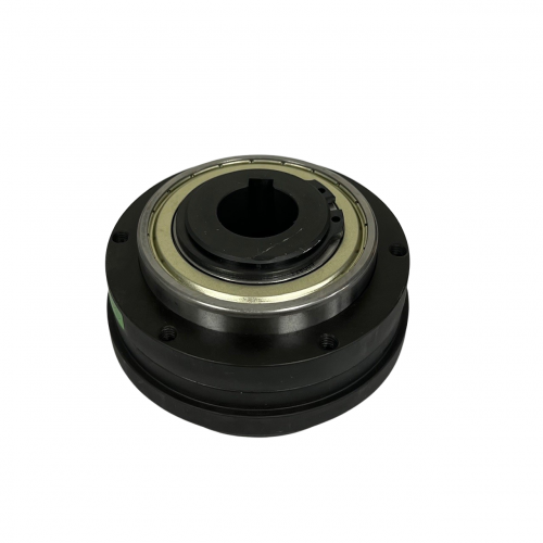 Torque limiter | GH.40.072